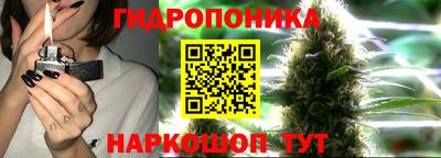 индика Ливны