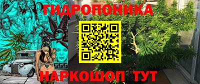 индика Ливны