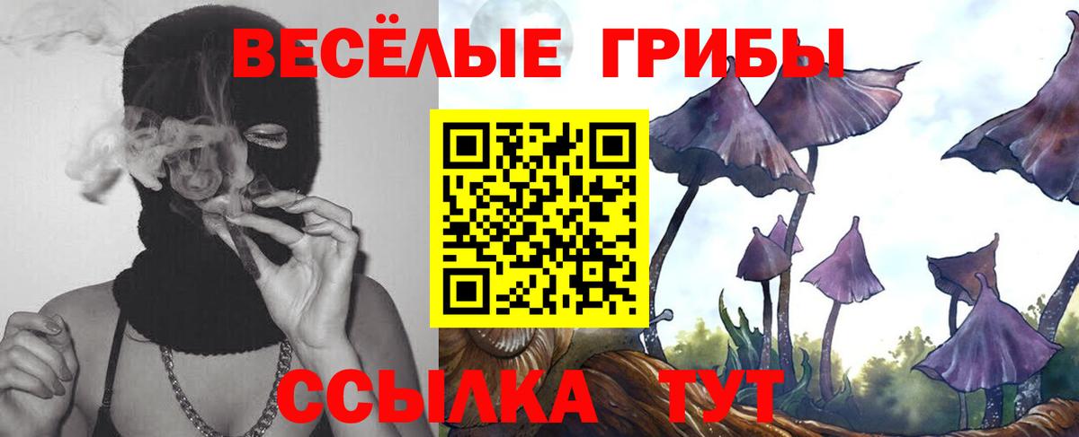 Углич  Галлюциногенные грибы MAGIC MUSHROOMS  купить  сайты  Вход с VPN 